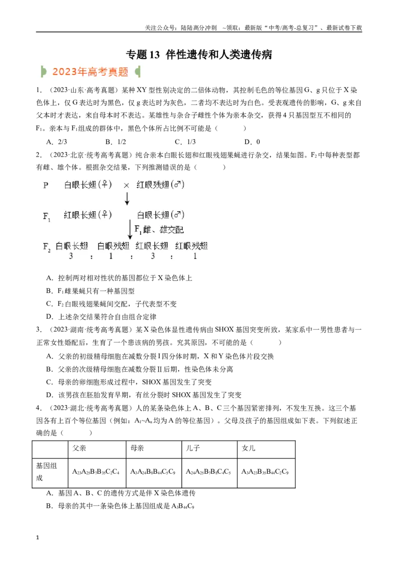 《专题13伴性遗传和人类遗传病（原卷版）_06-生物-高考总复习_专项复习_2024年_2024年新高考生物复习热点考点真题模拟题必刷题练_资料》第1页预览