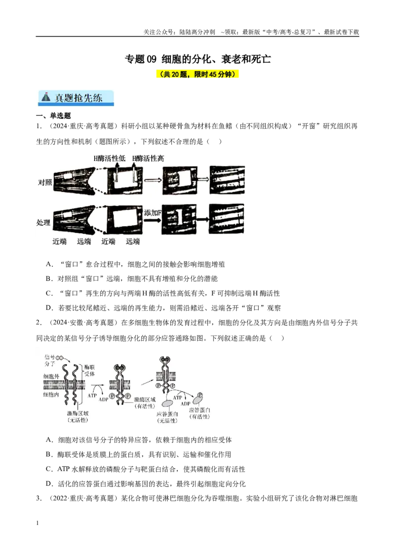 《专题09细胞的分化、衰老和死亡（学生版）_06-生物-高考总复习_一轮复习_2025年_2025年高考生物一轮复习考点精讲精练（新高考通用）》第1页预览
