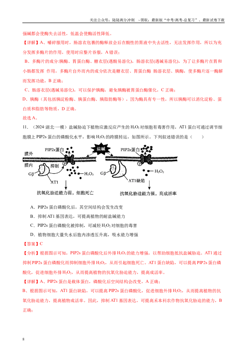 《专题06酶和ATP（教师版）_06-生物-高考总复习_一轮复习_2025年_2025年高考生物一轮复习考点精讲精练（新高考通用）》第8页预览