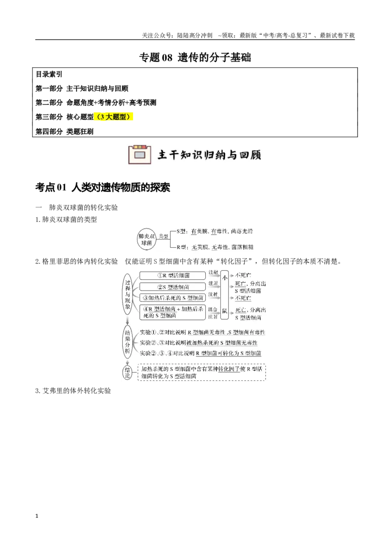 《专题08遗传的分子基础（学生版）_06-生物-高考总复习_专项复习_2024年_2024年高考生物总复习核心题型解读与全攻略新教材_资料》第1页预览