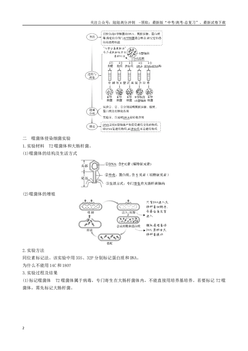 《专题08遗传的分子基础（学生版）_06-生物-高考总复习_专项复习_2024年_2024年高考生物总复习核心题型解读与全攻略新教材_资料》第2页预览