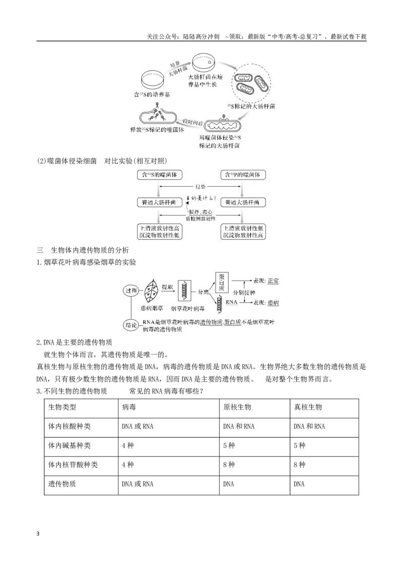 《专题08遗传的分子基础（学生版）_06-生物-高考总复习_专项复习_2024年_2024年高考生物总复习核心题型解读与全攻略新教材_资料》第3页预览