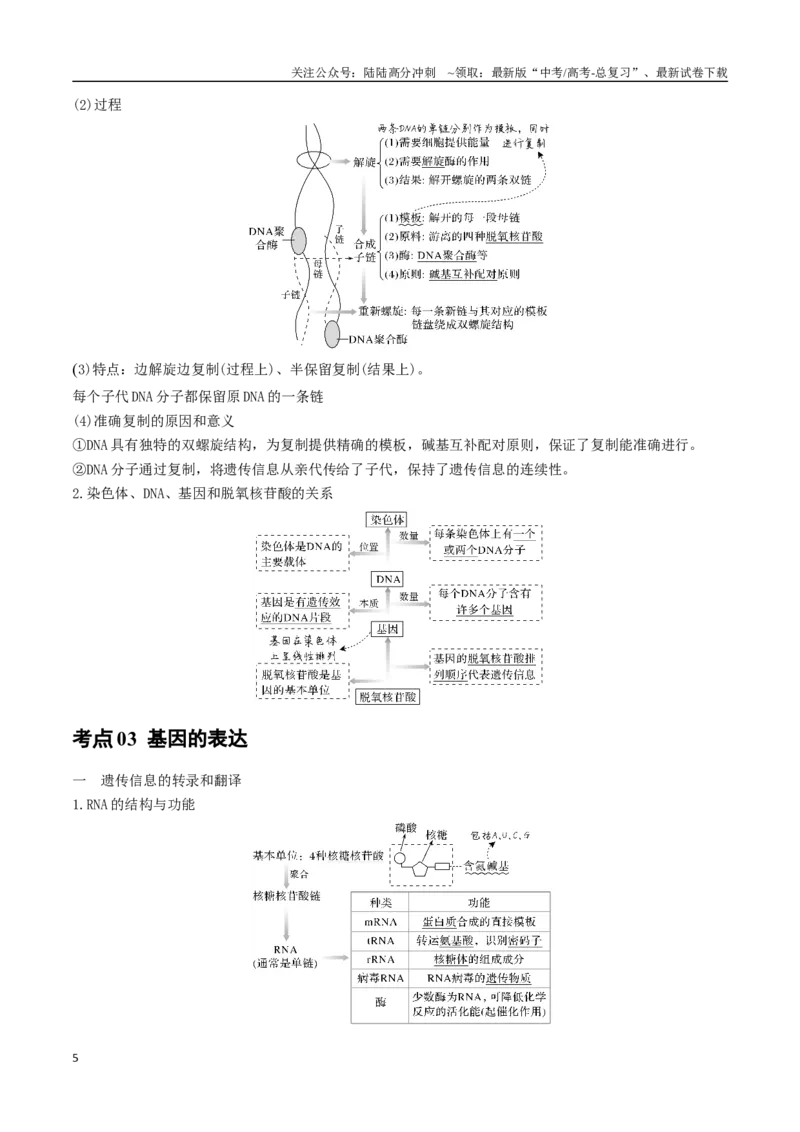 《专题08遗传的分子基础（学生版）_06-生物-高考总复习_专项复习_2024年_2024年高考生物总复习核心题型解读与全攻略新教材_资料》第5页预览