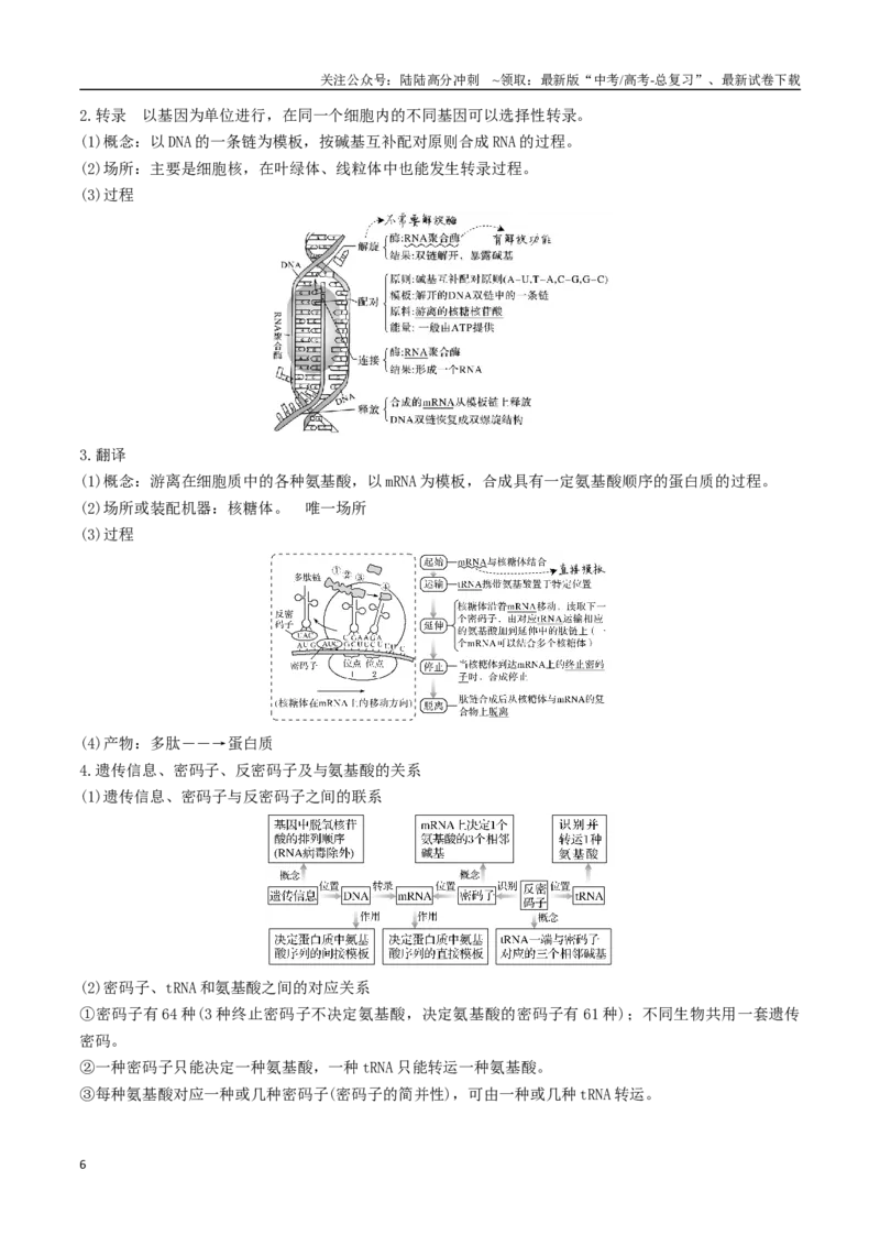 《专题08遗传的分子基础（学生版）_06-生物-高考总复习_专项复习_2024年_2024年高考生物总复习核心题型解读与全攻略新教材_资料》第6页预览