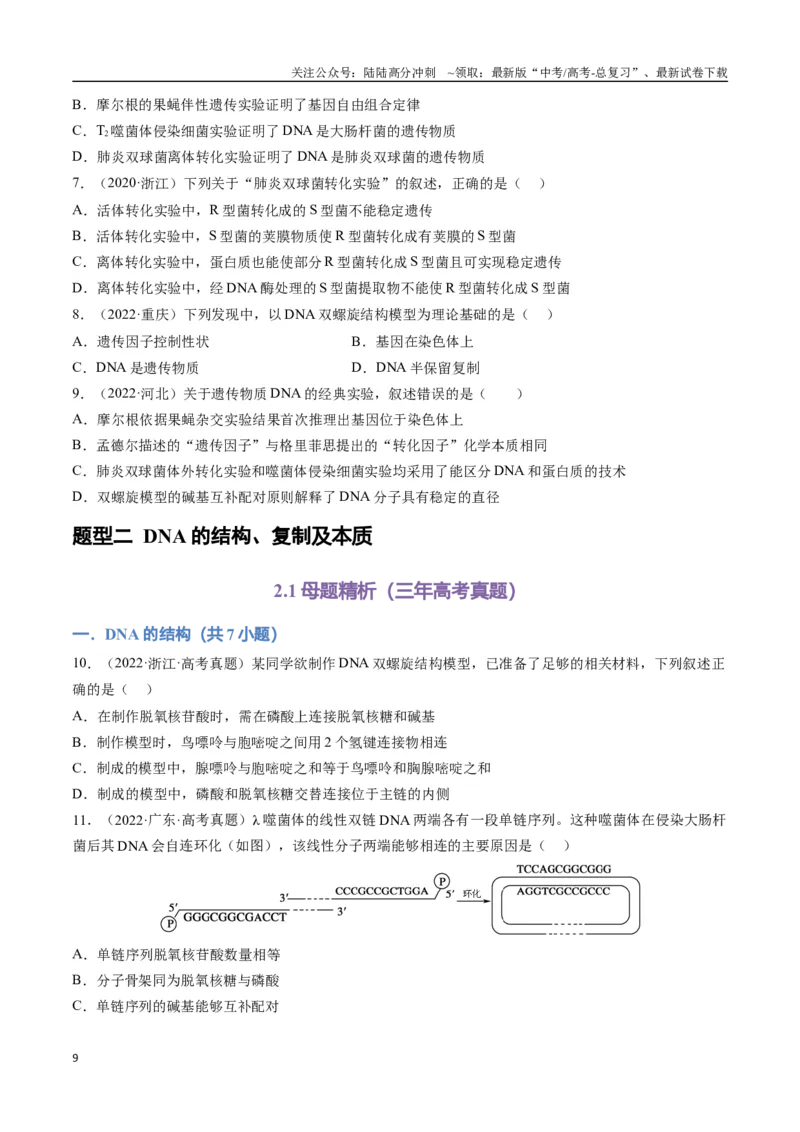 《专题08遗传的分子基础（学生版）_06-生物-高考总复习_专项复习_2024年_2024年高考生物总复习核心题型解读与全攻略新教材_资料》第9页预览