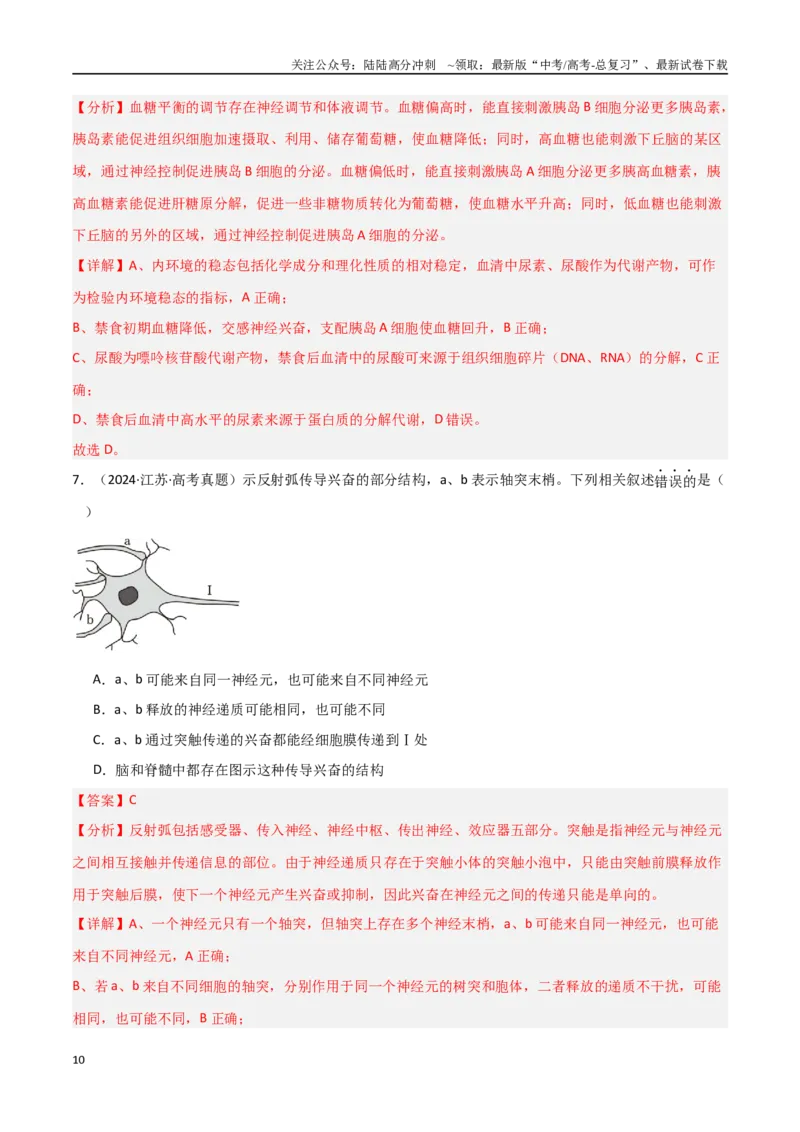 《专题13动物生命活动的调节（解析版）_06-生物-高考总复习_专项复习_2025年_2025年高考生物重难点讲义专练（新高考通用）》第10页预览