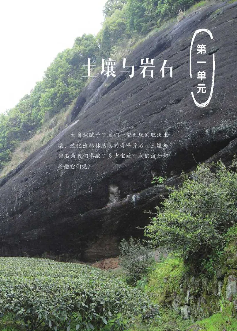 《五制三下教材_小学1-6年级全科全套_2025更新专题（含教材）_寒假预复习必备资料2024新版小学教材电子版_小学科学_青岛版（无水印）_五制》第7页预览