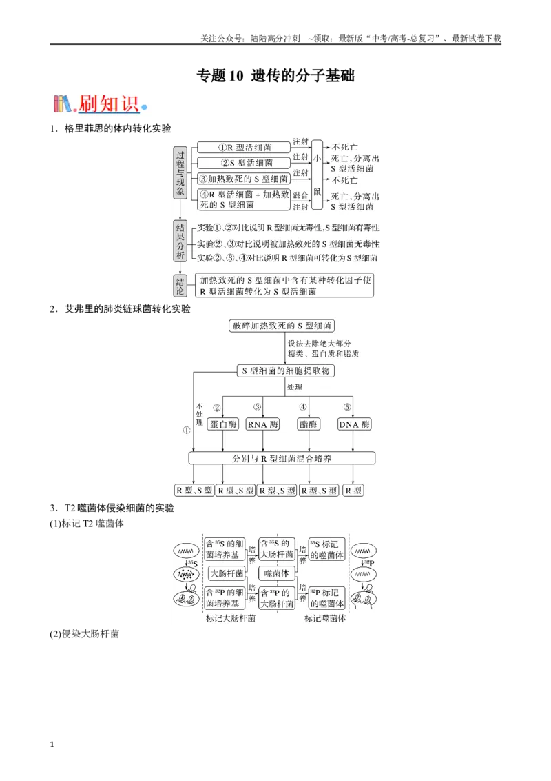 《专题10遗传的分子基础（解析版）_06-生物-高考总复习_专项复习_2024年_2024年高考生物经典小题必刷_资料》第1页预览
