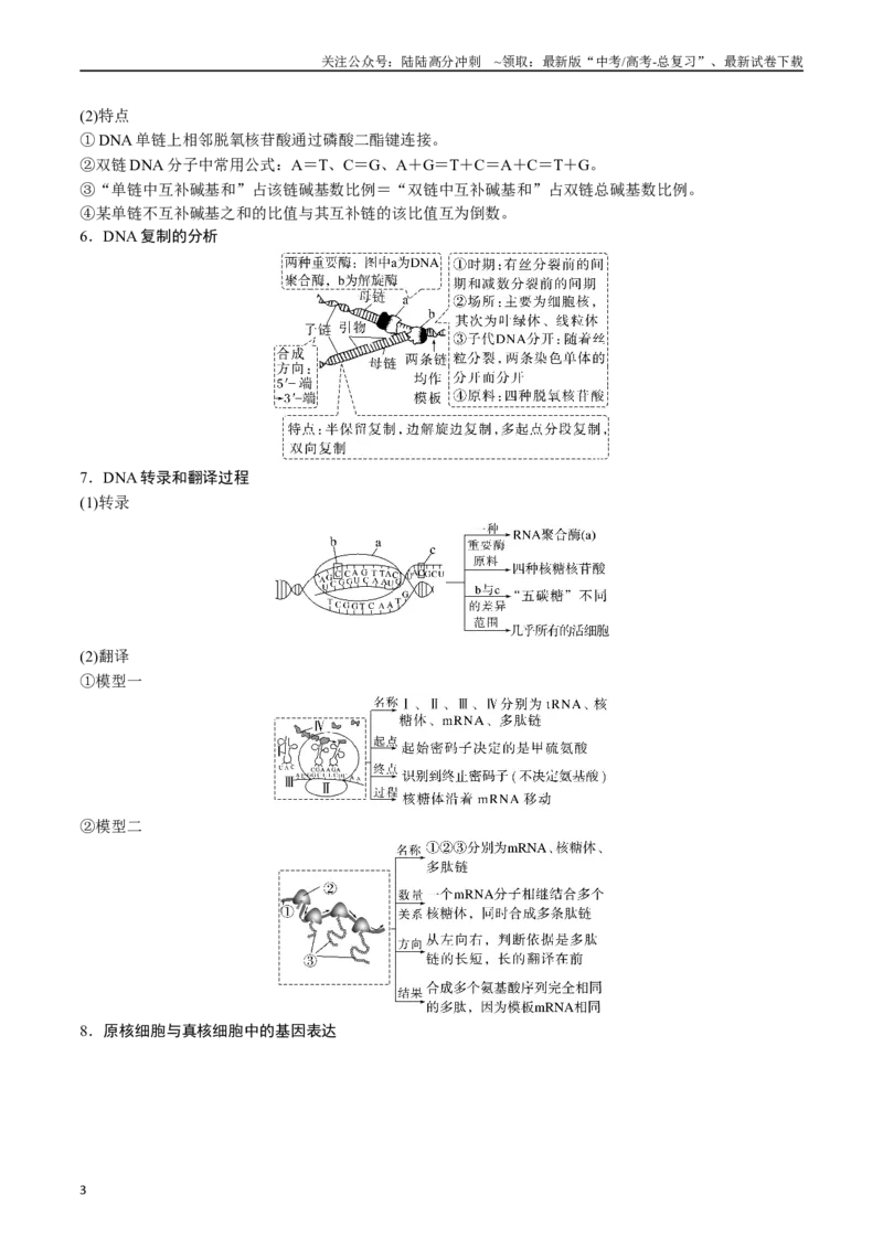 《专题10遗传的分子基础（解析版）_06-生物-高考总复习_专项复习_2024年_2024年高考生物经典小题必刷_资料》第3页预览