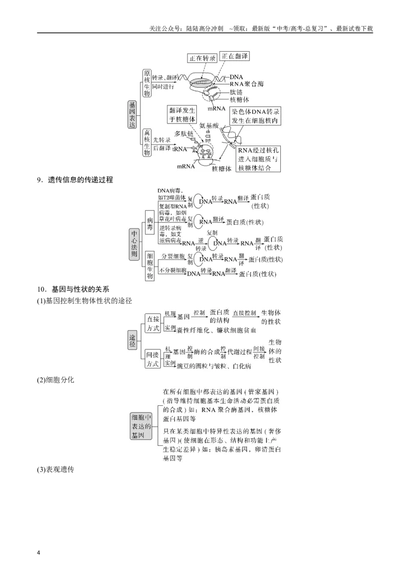 《专题10遗传的分子基础（解析版）_06-生物-高考总复习_专项复习_2024年_2024年高考生物经典小题必刷_资料》第4页预览