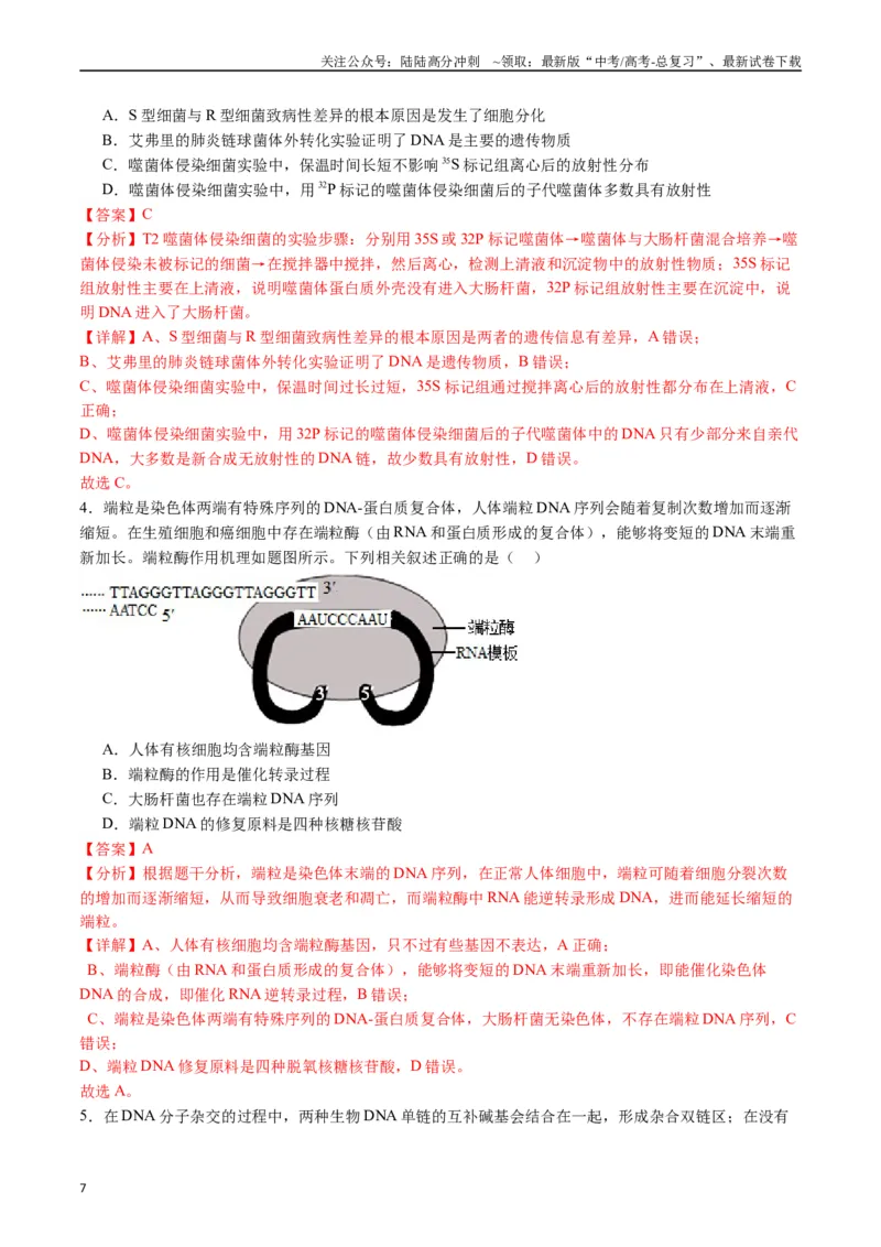 《专题10遗传的分子基础（解析版）_06-生物-高考总复习_专项复习_2024年_2024年高考生物经典小题必刷_资料》第7页预览