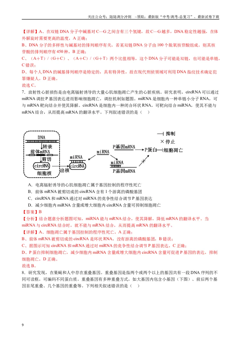 《专题10遗传的分子基础（解析版）_06-生物-高考总复习_专项复习_2024年_2024年高考生物经典小题必刷_资料》第9页预览