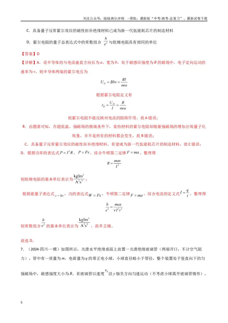 《专题11磁场及带电粒子在磁场中的运动（解析版）_04-物理-高考总复习_专项复习_2024年_2024届新高考物理冲刺专项训练300题_资料》第5页预览