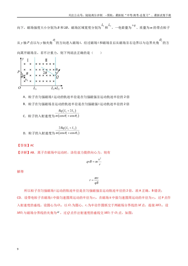 《专题11磁场及带电粒子在磁场中的运动（解析版）_04-物理-高考总复习_专项复习_2024年_2024届新高考物理冲刺专项训练300题_资料》第9页预览