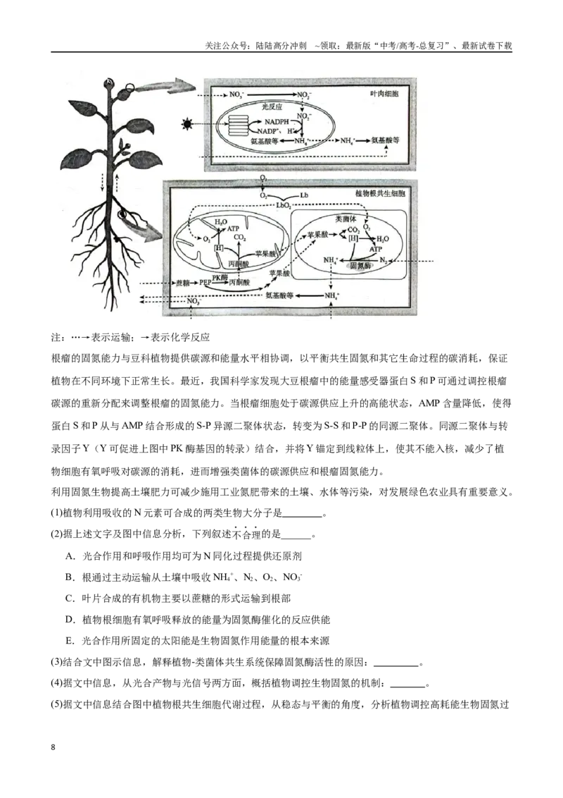 《专题06科技文阅读（北京卷）（解析版）_06-生物-高考总复习_专项复习_2024年_2024年高考生物考前大题秒杀技巧及专项训练_资料》第8页预览