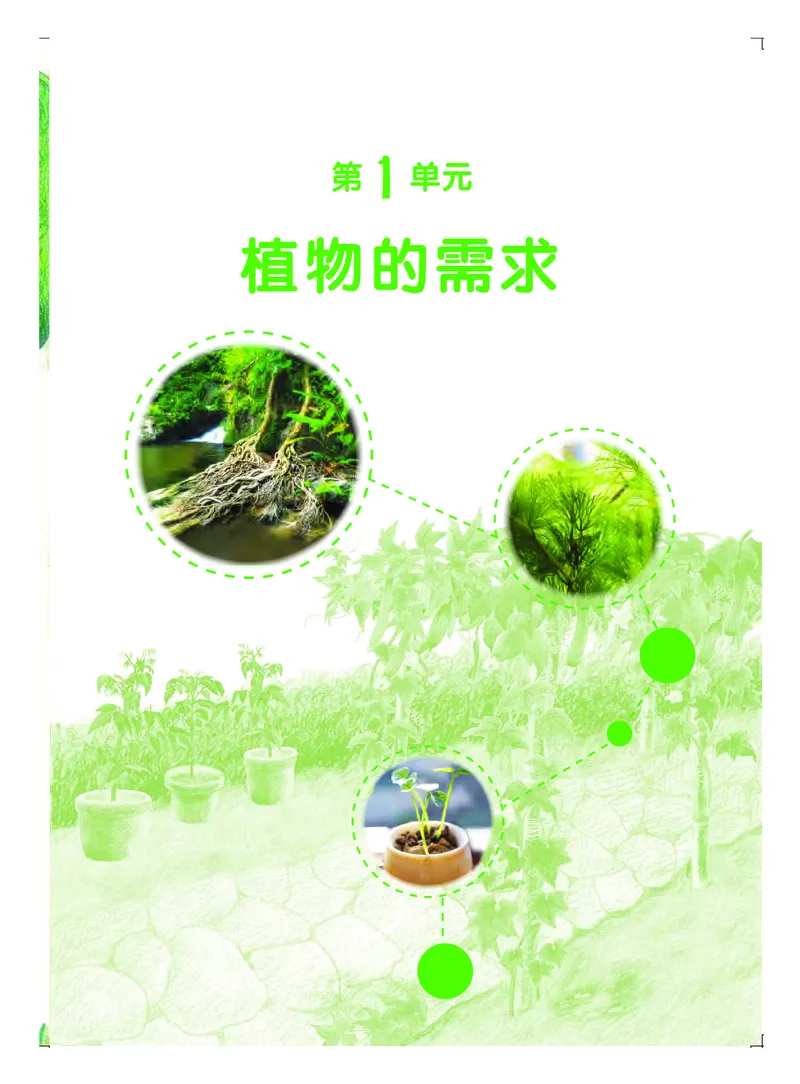 《义务教育教科书科学五年级上册_小学1-6年级全科全套_2025更新专题（含教材）_寒假预复习必备资料2024新版小学教材电子版_小学科学_粤教版（无水印）》第6页预览