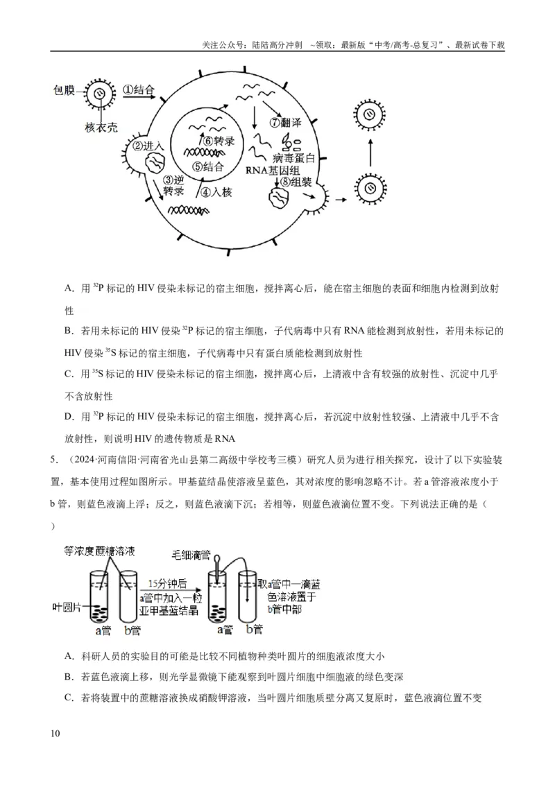 《专题11实验探究（分层练）（原卷版）_06-生物-高考总复习_二轮复习_2024年_2024年高考生物二轮复习高频考点追踪与预测（新高考专用）_分层练》第10页预览