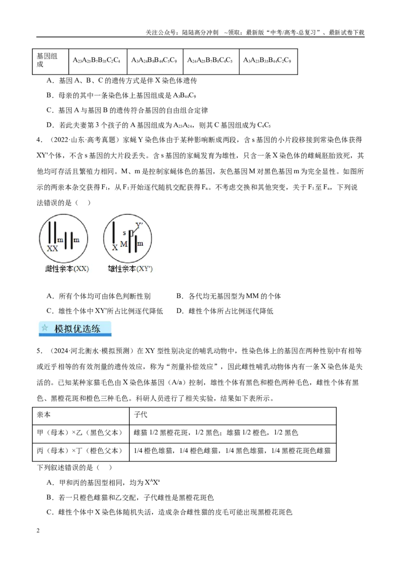 《专题11伴性遗传和人类遗传病（学生版）_06-生物-高考总复习_一轮复习_2025年_2025年高考生物一轮复习考点精讲精练（新高考通用）》第2页预览