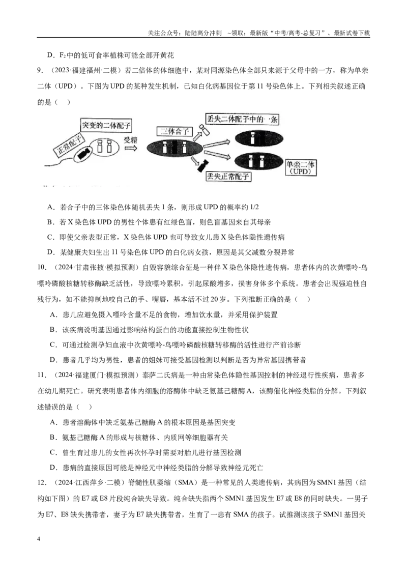《专题11伴性遗传和人类遗传病（学生版）_06-生物-高考总复习_一轮复习_2025年_2025年高考生物一轮复习考点精讲精练（新高考通用）》第4页预览