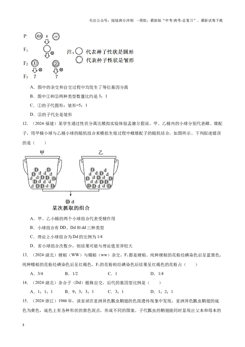 《专题07遗传因子的发现（学生版）_06-生物-高考总复习_专项复习_2025年_2025年高中学业水平合格考生物真题分类汇编（全国通用）》第3页预览