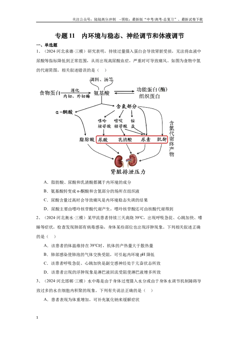 《专题11内环境与稳态、神经调节和体液调节（原卷版）_06-生物-高考总复习_专项复习_2025年_2024年高考三模试题分类汇编生物2新高考通用》第1页预览