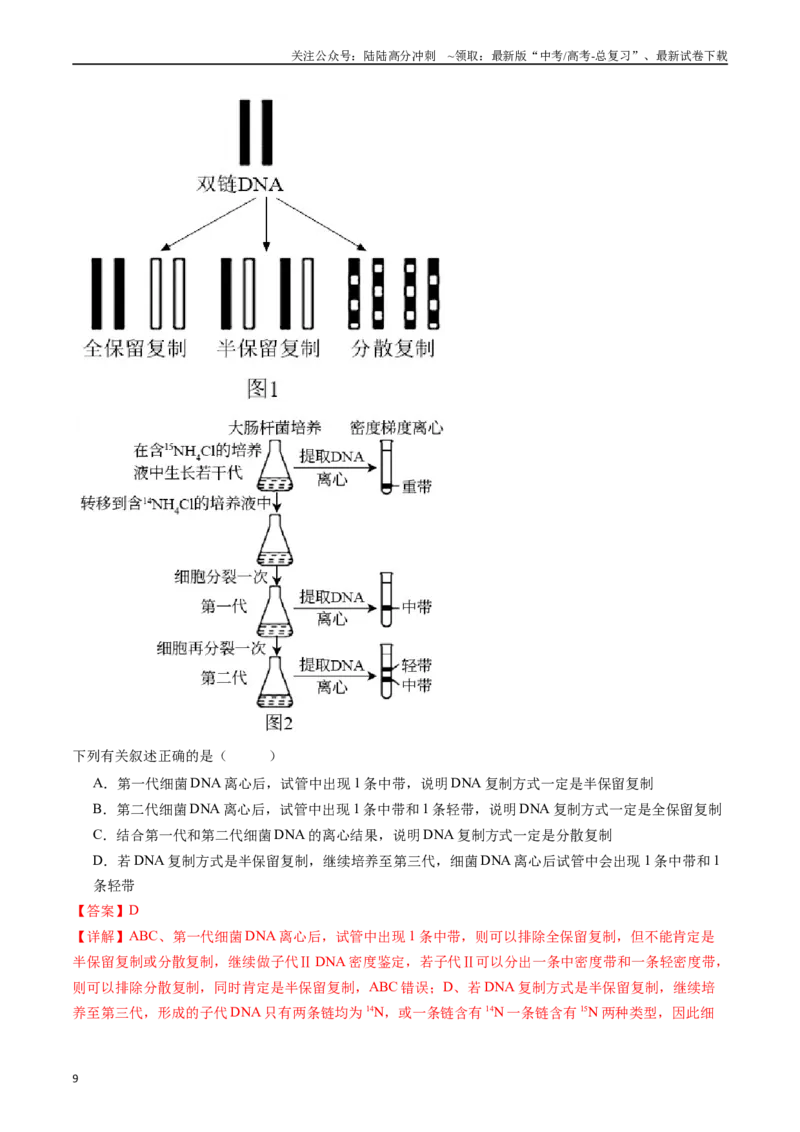 《专题10遗传的分子基础（解析版）_06-生物-高考总复习_专项复习_2024年_2024年新高考生物复习热点考点真题模拟题必刷题练_资料》第9页预览