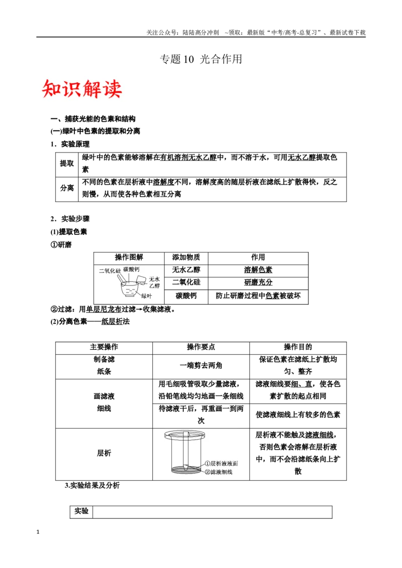 《专题10光合作用（解析版)_06-生物-高考总复习_一轮复习_2024年_2024年高考生物一轮复习重难点专项突破_资料》第1页预览