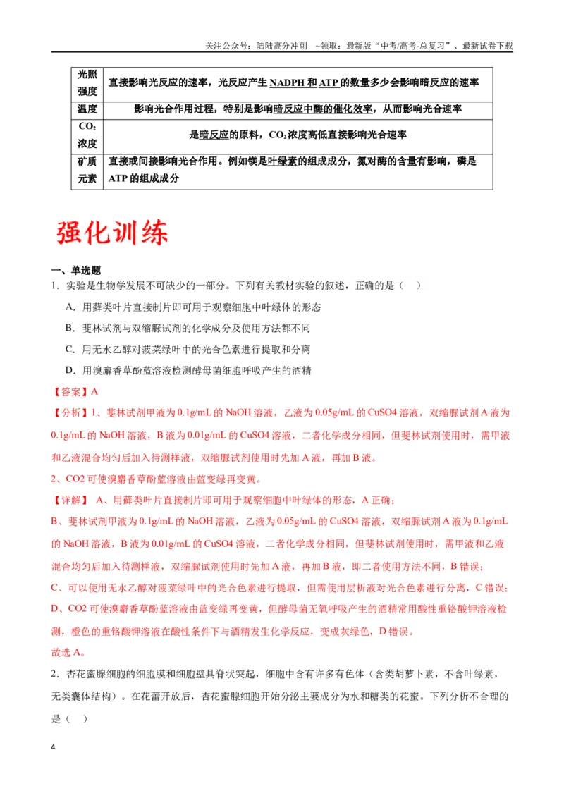 《专题10光合作用（解析版)_06-生物-高考总复习_一轮复习_2024年_2024年高考生物一轮复习重难点专项突破_资料》第4页预览