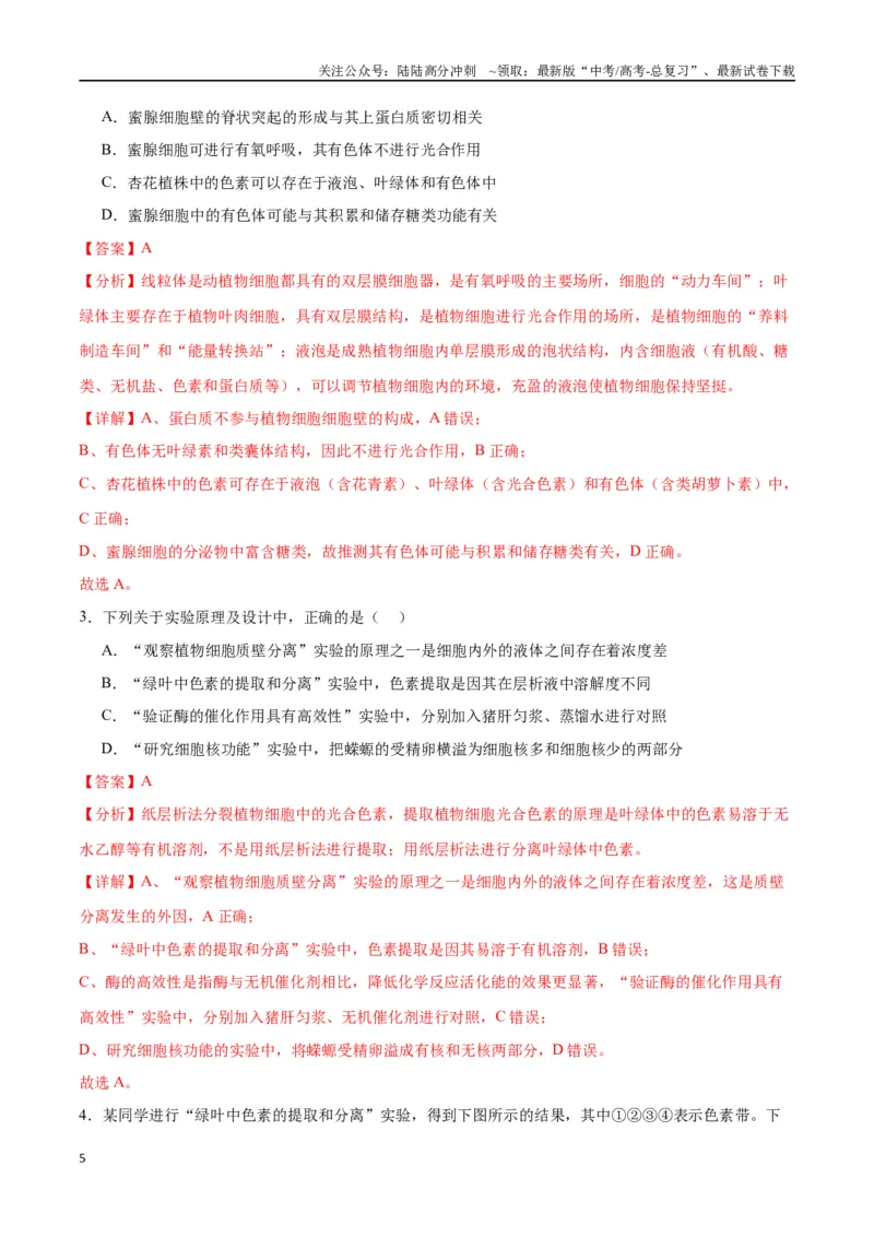 《专题10光合作用（解析版)_06-生物-高考总复习_一轮复习_2024年_2024年高考生物一轮复习重难点专项突破_资料》第5页预览