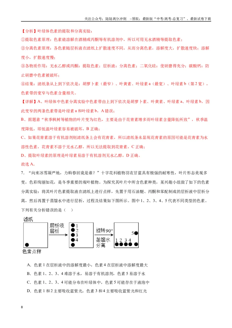 《专题10光合作用（解析版)_06-生物-高考总复习_一轮复习_2024年_2024年高考生物一轮复习重难点专项突破_资料》第8页预览