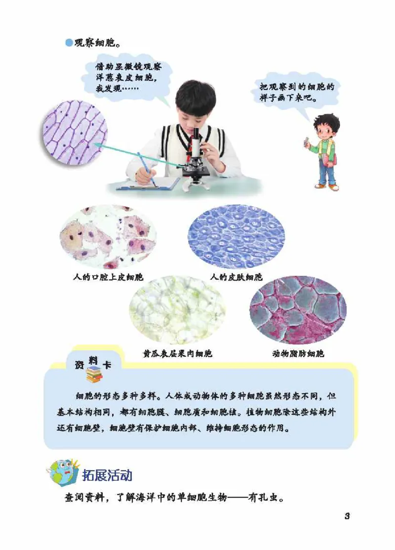 《五制五上教材_小学1-6年级全科全套_2025更新专题（含教材）_寒假预复习必备资料2024新版小学教材电子版_小学科学_青岛版（无水印）_五制》第10页预览