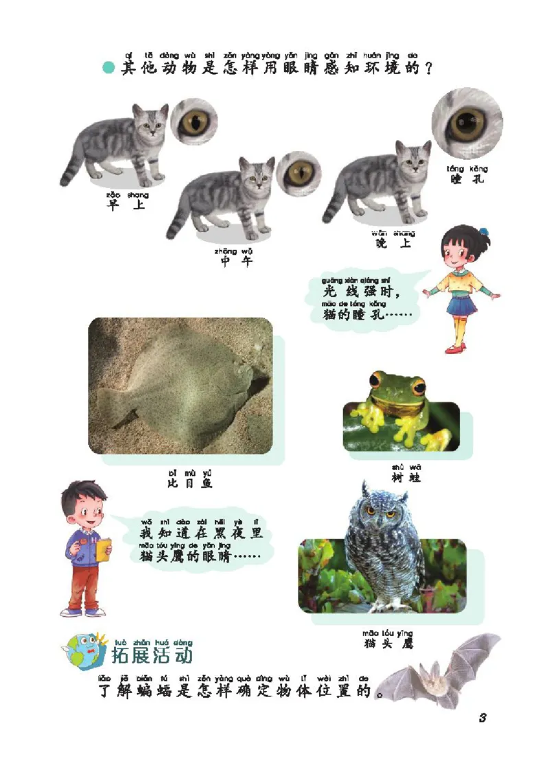 《五制二上教材_小学1-6年级全科全套_2025更新专题（含教材）_寒假预复习必备资料2024新版小学教材电子版_小学科学_青岛版（无水印）_五制》第10页预览