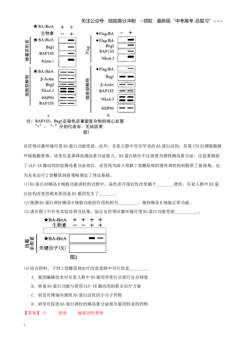 《专题08体液调节与免疫调节（教师版）_06-生物-高考总复习_专项复习_2026年-生物高考专项复习_2026年高考生物一模试题分类汇编（新高考通用）-G178_2026版》第7页预览