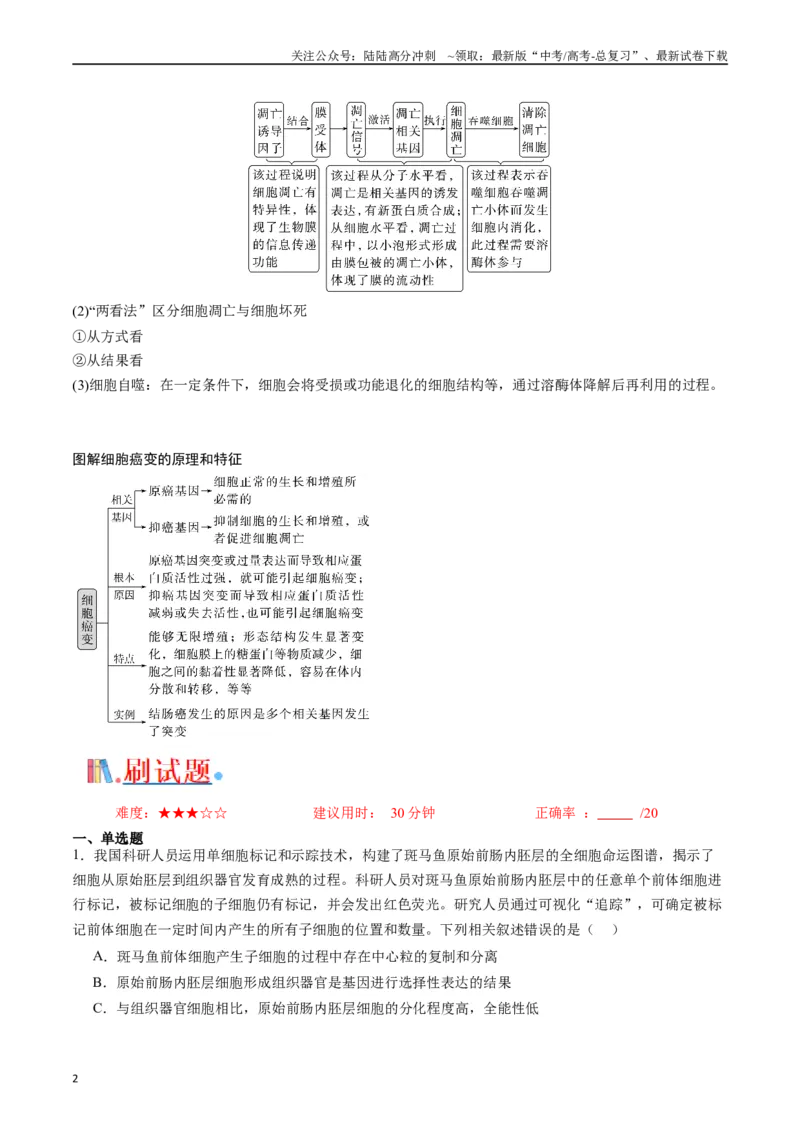 《专题09细胞的分化、衰老、凋亡及癌变（原卷版）_06-生物-高考总复习_专项复习_2024年_2024年高考生物经典小题必刷_资料》第2页预览