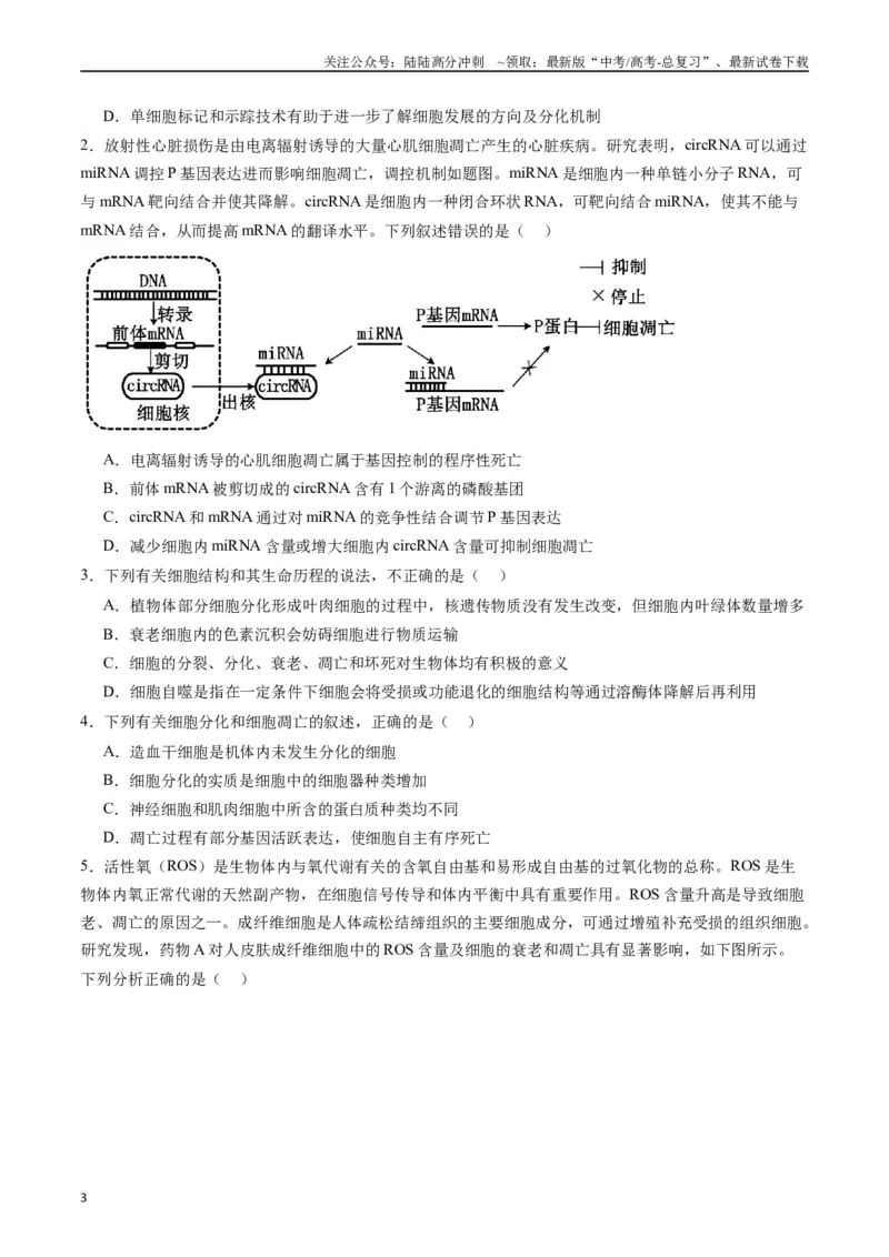 《专题09细胞的分化、衰老、凋亡及癌变（原卷版）_06-生物-高考总复习_专项复习_2024年_2024年高考生物经典小题必刷_资料》第3页预览