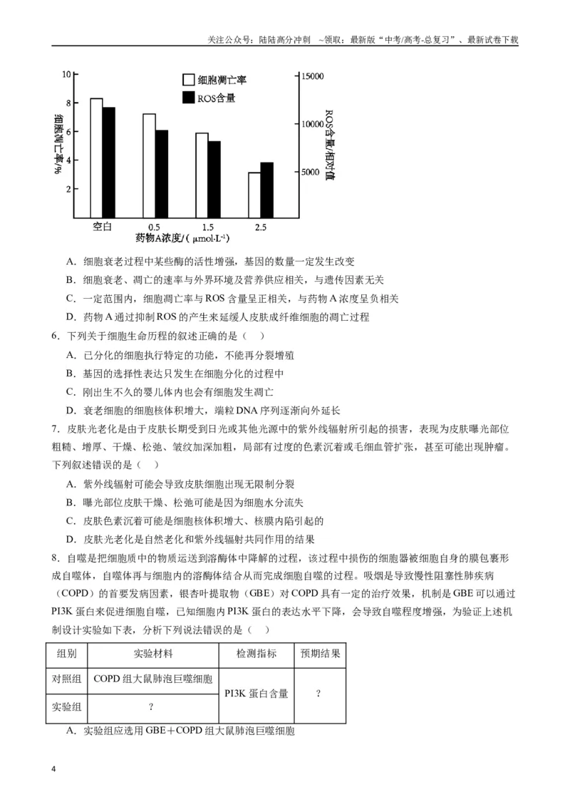 《专题09细胞的分化、衰老、凋亡及癌变（原卷版）_06-生物-高考总复习_专项复习_2024年_2024年高考生物经典小题必刷_资料》第4页预览