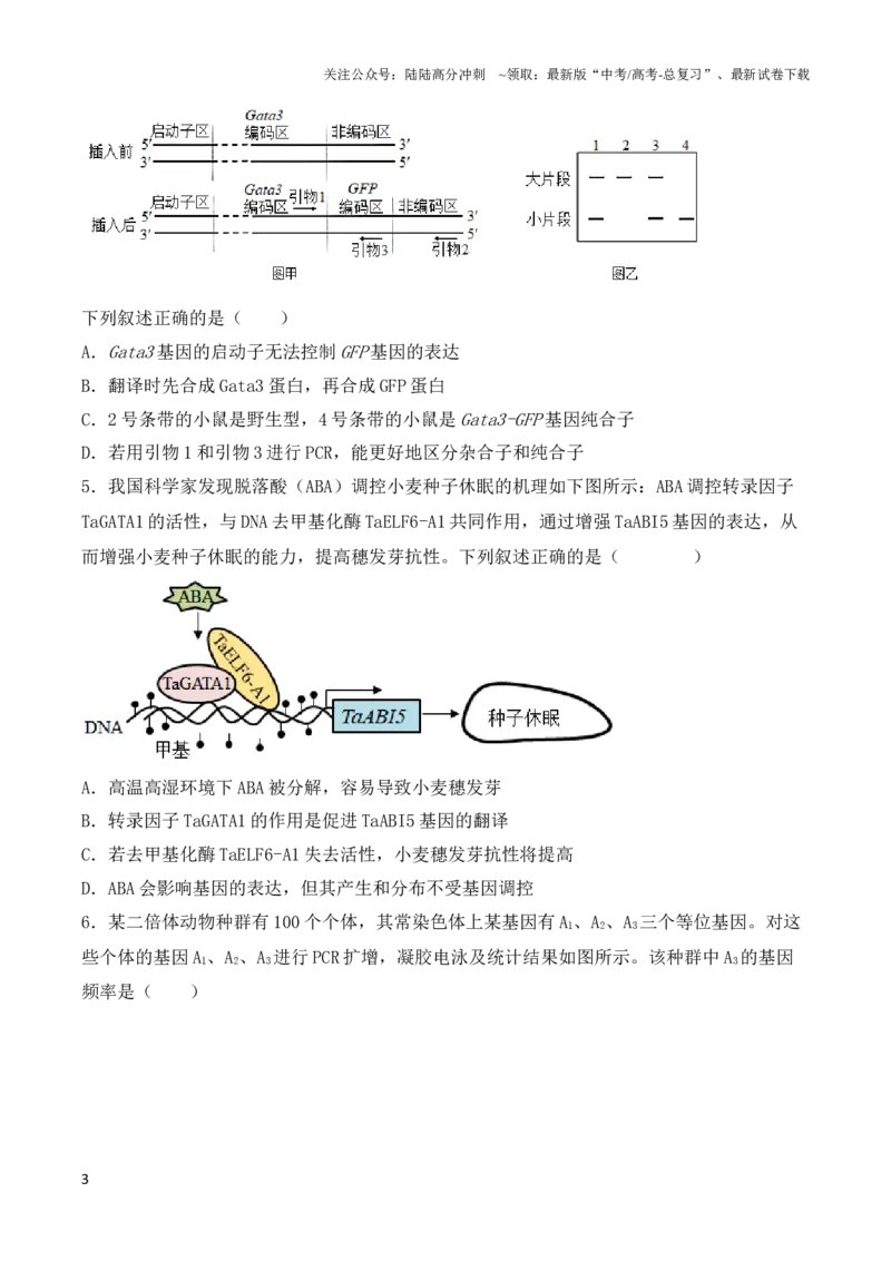 《专题08基因的表达以及基因频率的计算（原卷版）_06-生物-高考总复习_一轮复习_2024年_2024年高考生物一轮复习重难点突破讲解与训练专题_资料》第3页预览