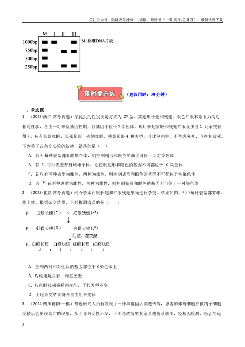 《专题10基因定位类问题分析（原卷版）_06-生物-高考总复习_专项复习_2025年_2025年高考生物重难点讲义专练（新高考通用）》第5页预览