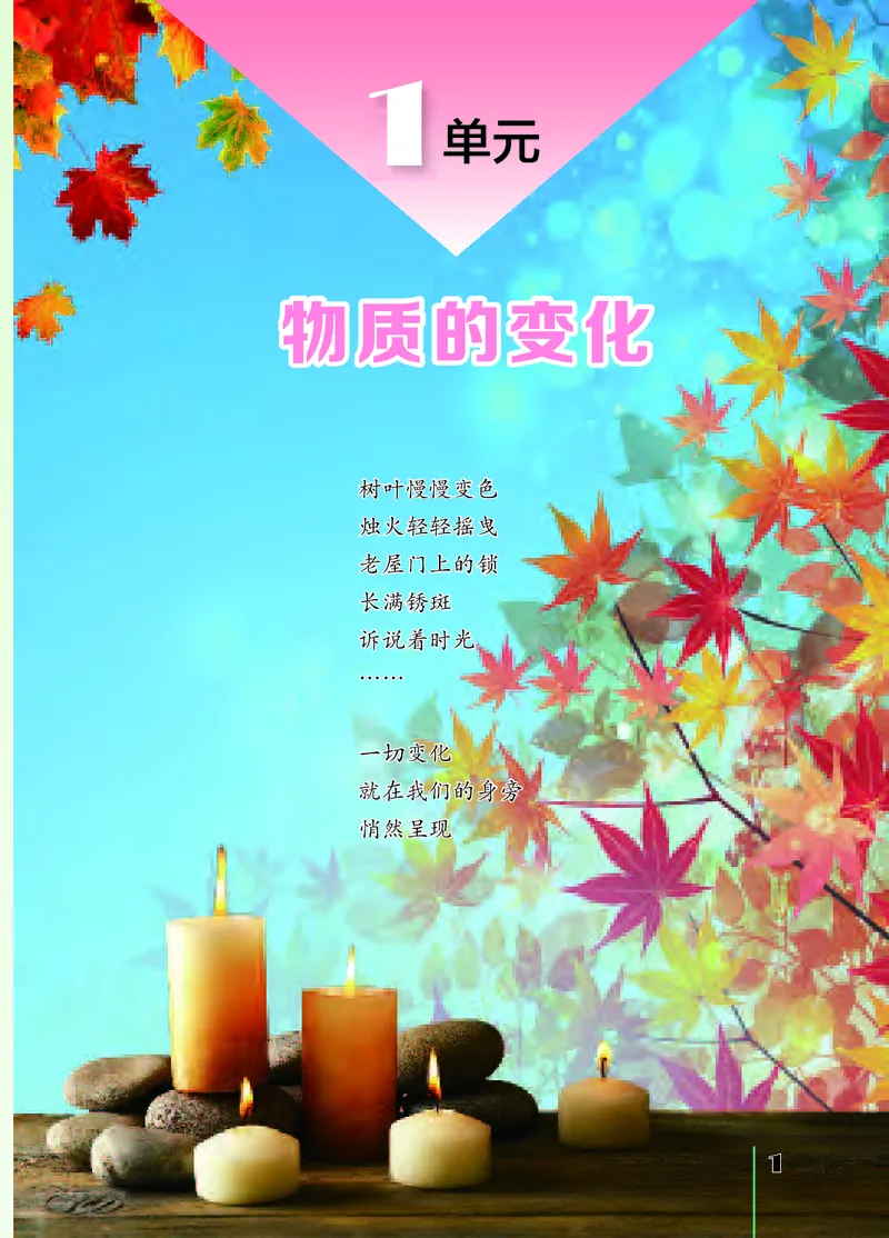 《[D]苏教版科学六上压缩_小学1-6年级全科全套_2025更新专题（含教材）_寒假预复习必备资料2024新版小学教材电子版_小学科学_苏教版（无水印）》第6页预览