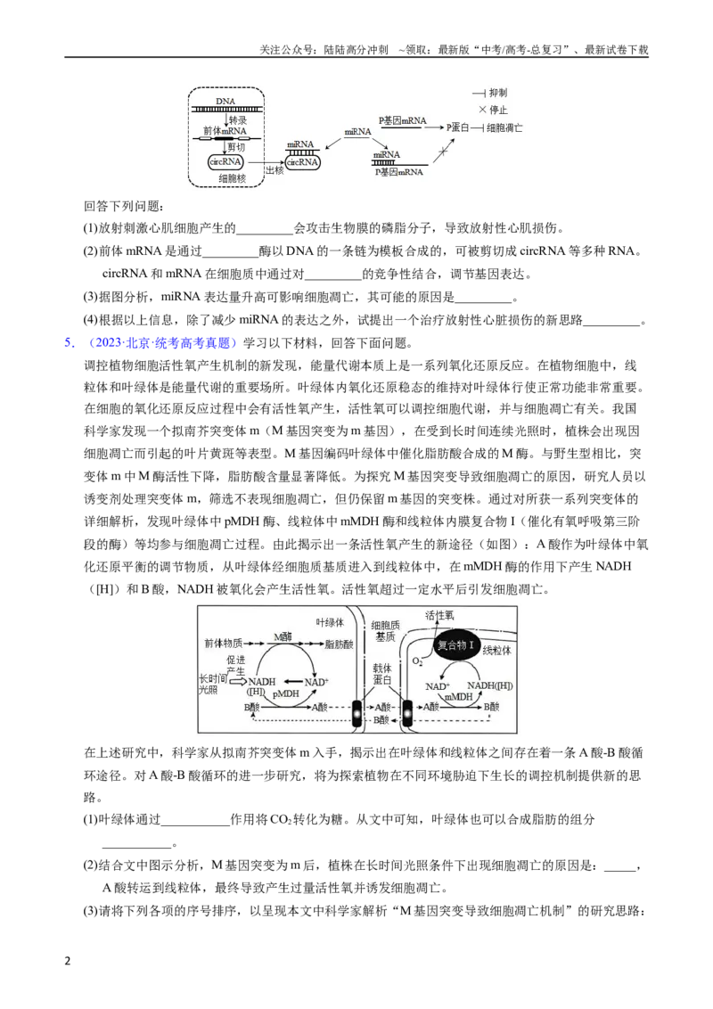 《专题07细胞得分化、衰老、凋亡及癌变-五年（2019-2023）高考生物真题分项汇编（全国通用）（学生版）_06-生物-高考总复习_专项复习_2024年_2019-2023高考生物五年真题分项汇编（全国通用）》第2页预览