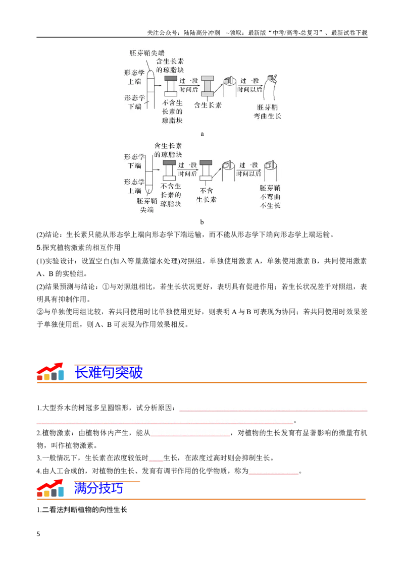 《专题08植物生命活动调节（学生版）_06-生物-高考总复习_专项复习_2024年_2024年高考生物热点·重点·难点专练（新高考专用）》第5页预览