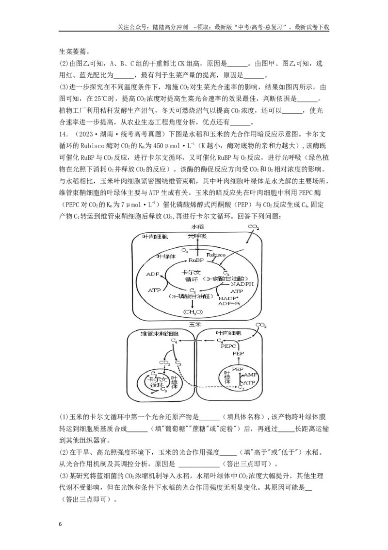 《专题09光合作用和呼吸作用（原卷版）_06-生物-高考总复习_一轮复习_2024年_2024年高考生物一轮复习讲义抢分特训易错考点真题_2019人教版必修1(11)份》第6页预览