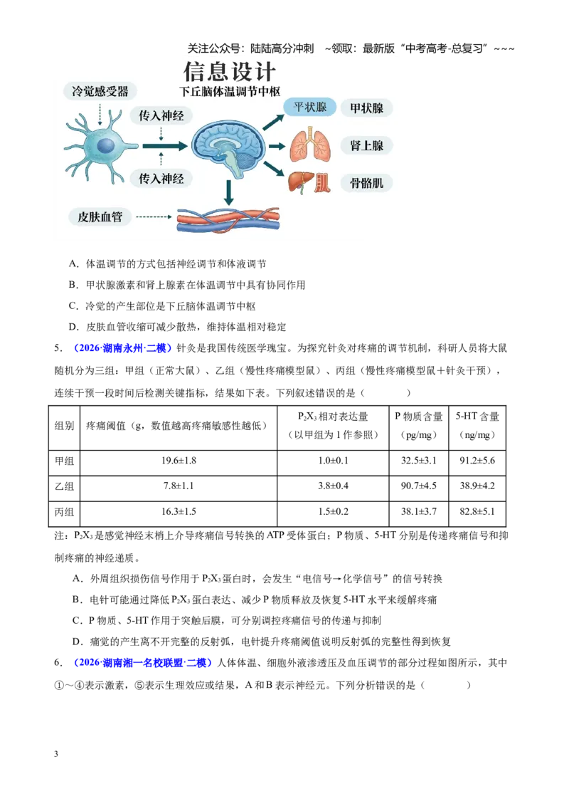 《专题06生命活动的调节（学生版）_06-生物-高考总复习_专项复习_2026年-生物高考专项复习_2026年高考生物二模试题分类汇编（湖南专用）-G292_2026版》第3页预览