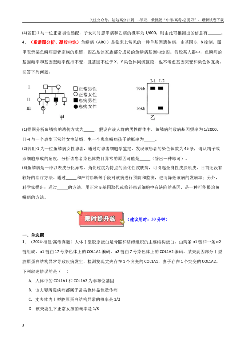 《专题09人类遗传病（原卷版）_06-生物-高考总复习_专项复习_2025年_2025年高考生物重难点讲义专练（新高考通用）》第5页预览