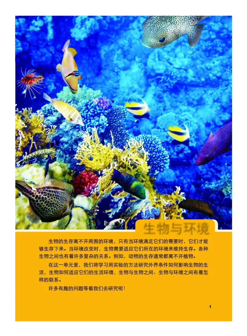 《义务教育教科书-科学-五年级下册_小学1-6年级全科全套_2025更新专题（含教材）_寒假预复习必备资料2024新版小学教材电子版_小学科学_教科版（无水印）》第6页预览