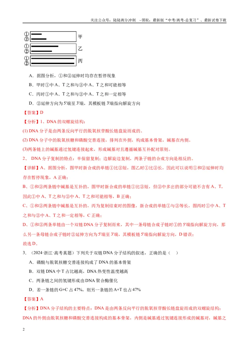 《专题12DNA及其结构与复制（教师版）_06-生物-高考总复习_一轮复习_2025年_2025年高考生物一轮复习考点精讲精练（新高考通用）》第2页预览