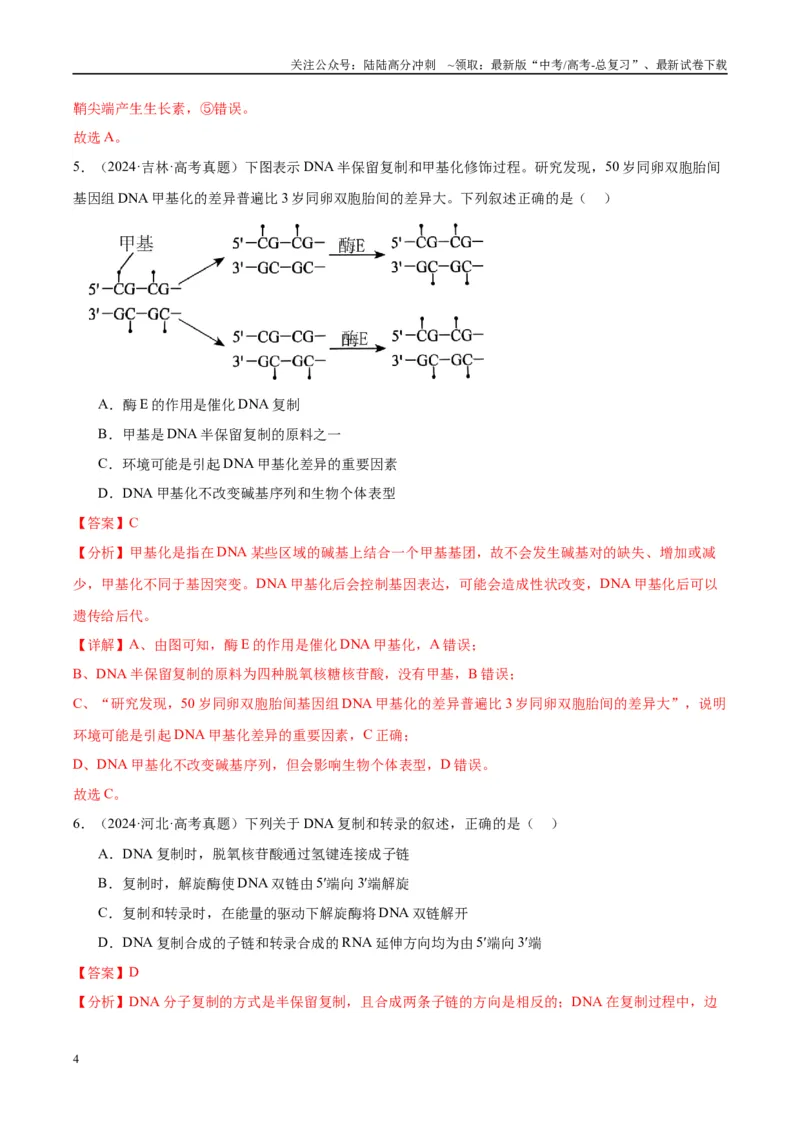 《专题12DNA及其结构与复制（教师版）_06-生物-高考总复习_一轮复习_2025年_2025年高考生物一轮复习考点精讲精练（新高考通用）》第4页预览