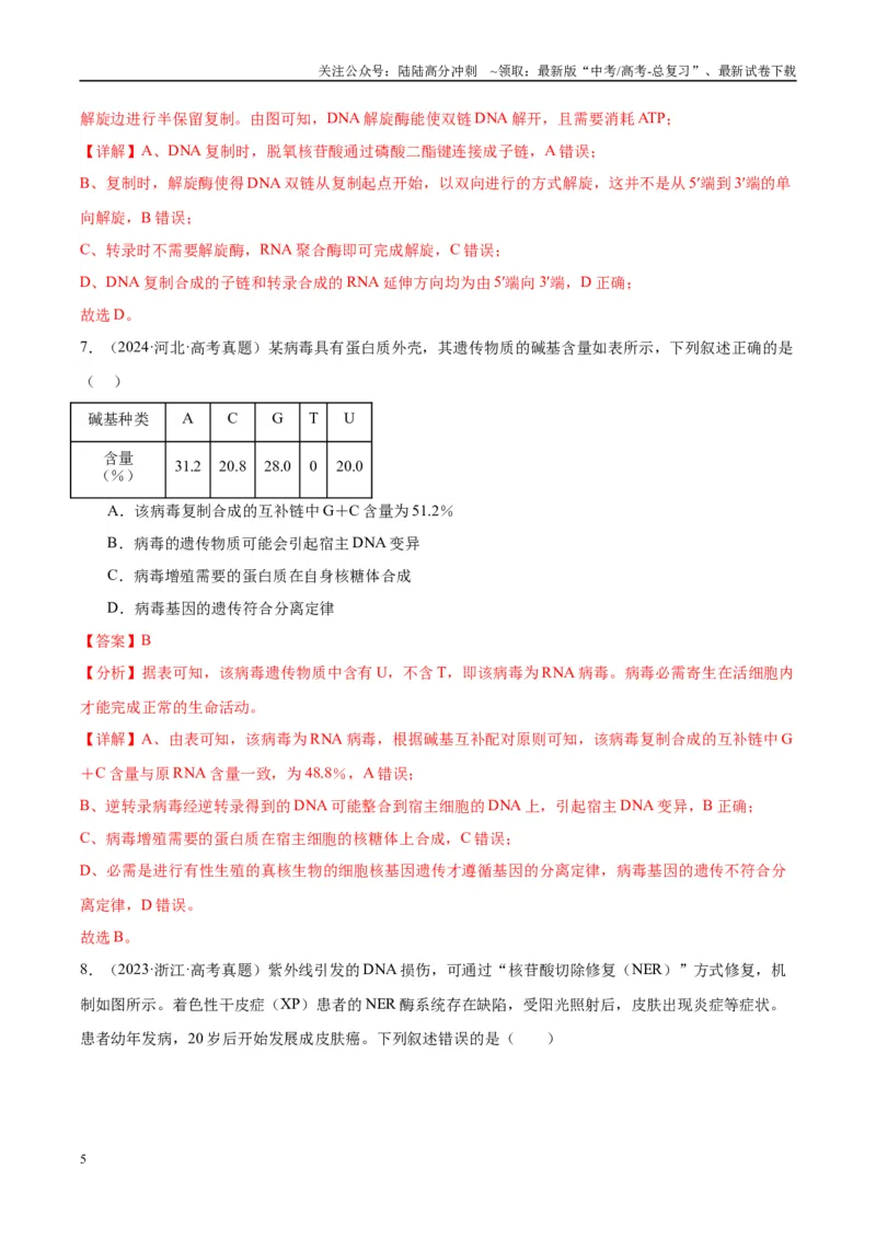 《专题12DNA及其结构与复制（教师版）_06-生物-高考总复习_一轮复习_2025年_2025年高考生物一轮复习考点精讲精练（新高考通用）》第5页预览
