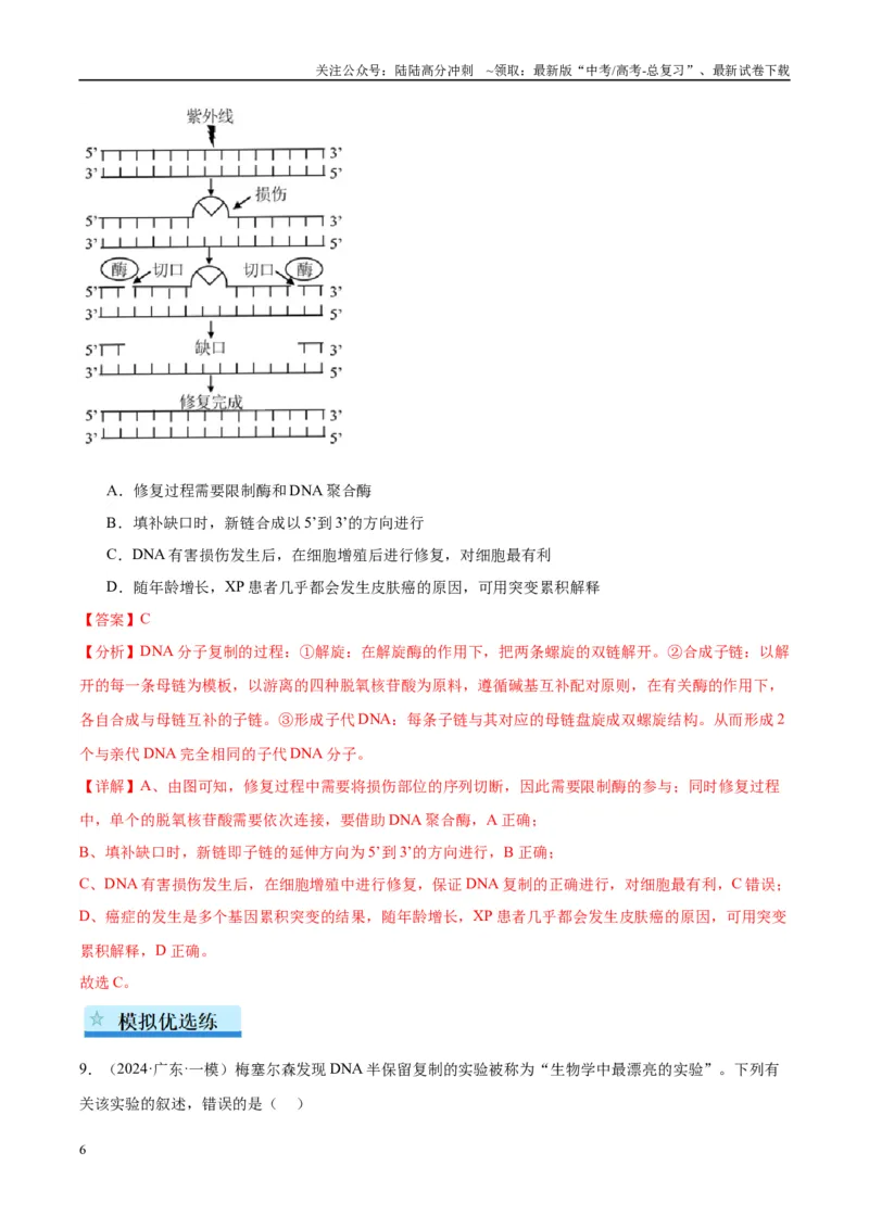 《专题12DNA及其结构与复制（教师版）_06-生物-高考总复习_一轮复习_2025年_2025年高考生物一轮复习考点精讲精练（新高考通用）》第6页预览