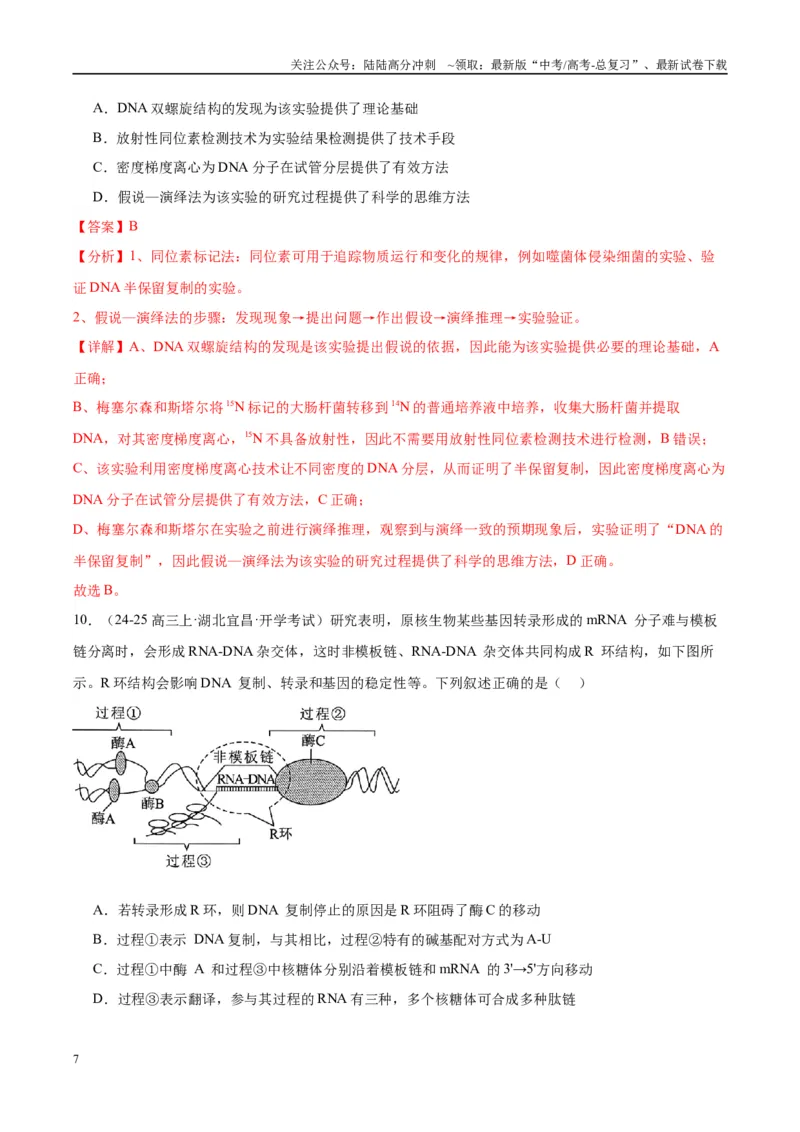 《专题12DNA及其结构与复制（教师版）_06-生物-高考总复习_一轮复习_2025年_2025年高考生物一轮复习考点精讲精练（新高考通用）》第7页预览